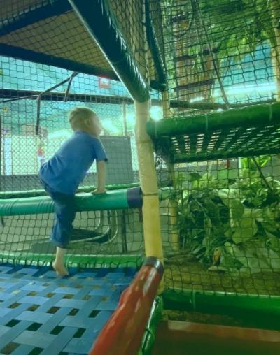 The Jungle